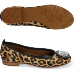 Aleta Ballerinas -Brighton Store aleta ballerinas leopard 2 da6998f7 0421 4d39 844f cac3fbdc478a