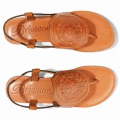 Ancona Thongs -Brighton Store ancona thongs cognac 2