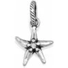 Bali Star Charm 2 Bali Star Charm -Brighton Store bali star charm silver 0 25b4d436 77cc 433e 9dd0 22a6824c20d7