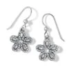 Illumina Daisy Petite French Wire Earrings 2 Illumina Daisy Petite French Wire Earrings -Brighton Store illumina daisy petite french wire earrings silver 0 d7dcb3ee 1416 452d b60d 97f79810431f