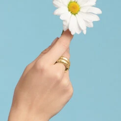 Inner Circle Double Ring -Brighton Store inner circle double ring gold 2